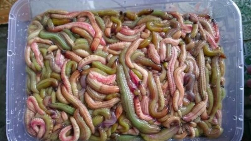 160320241710606575 - Vinakitchen