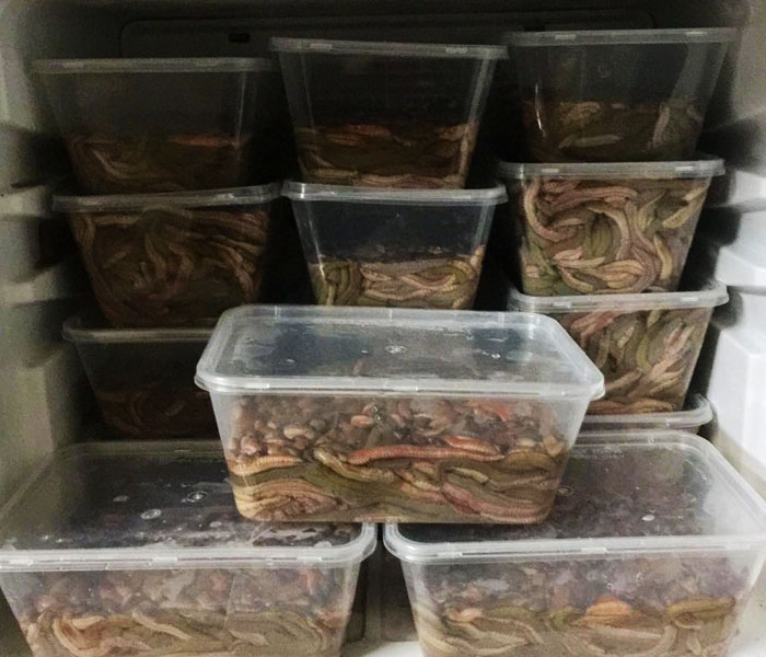 Cách rã đông rươi chuẩn như chuyên gia bạn đã biết chưa? 3 - Vinakitchen 27XwQZ7epmQa9PIt eDxGgYIulqydBGIwYeurbcR1pDYZArDG An3WxuR1Af9wopzNwcOfHYm4MJm7XUHSOtAXYv6Ty53iMQh09ATwFuz - Vinakitchen