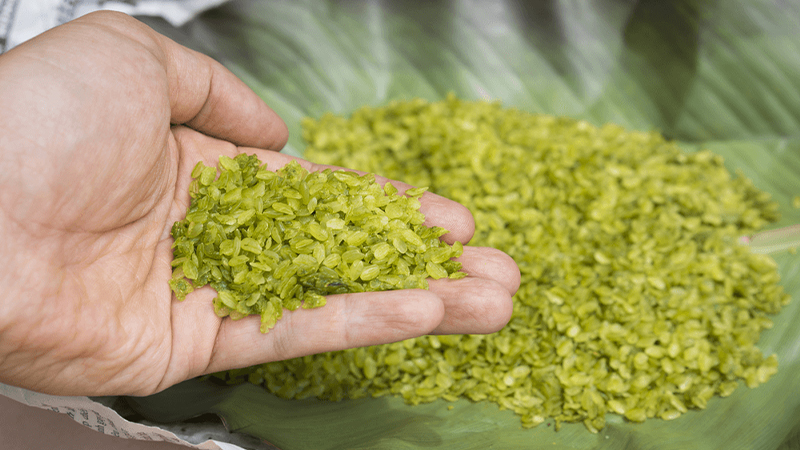 BRGNpeOrxiWBGh2oYlbO4szLO bGnljnyBrsFrIqD6CVnFycNMibwFCa1zIz6eLcZ0vt OCXe9XMmkyZoCjrJdj79PGC0Cbg4Zu9RtVG2OB3UtZMhaxpsQyPq6m tCKKYCPFirync CRrLvDVSQ bQI - Vinakitchen