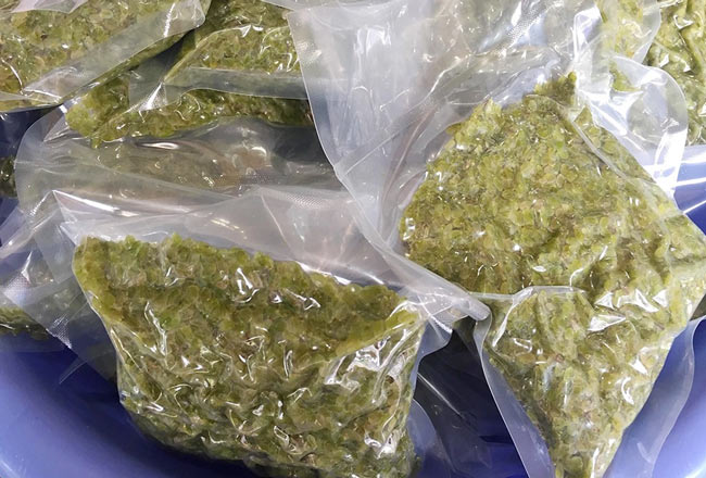 s7XvS4wPPDzPuVa6zWvUNj4oUNs2xFBgpsKcoONkTPpYWxdB2BjFJECBIKL1czoGS8tXezyCQJPz9jl7 - Vinakitchen