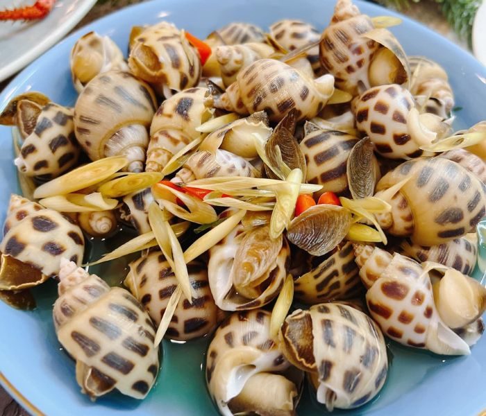 Cách bảo quản ốc hương tươi ngon đúng chuẩn 21 - Vinakitchen cach-bao-quan-oc-huong