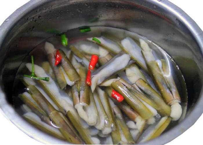 Cách bảo quản ốc móng tay tươi ngon và đúng cách 3 - Vinakitchen cach-bao-quan-oc-mong-tay