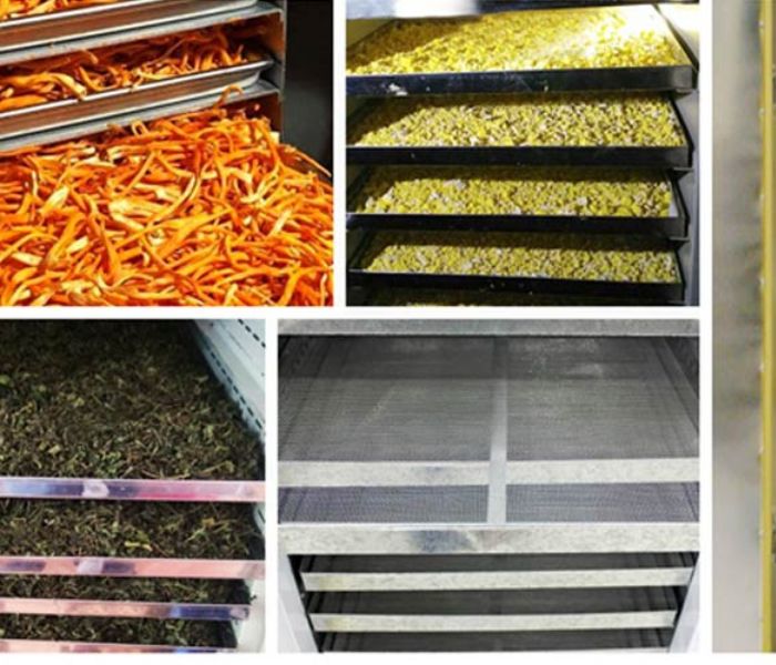 Sấy dược liệu ở nhiệt độ bao nhiêu để bảo vệ chất lượng? 24 - Vinakitchen say-duoc-lieu-o-nhiet-do-bao-nhieu