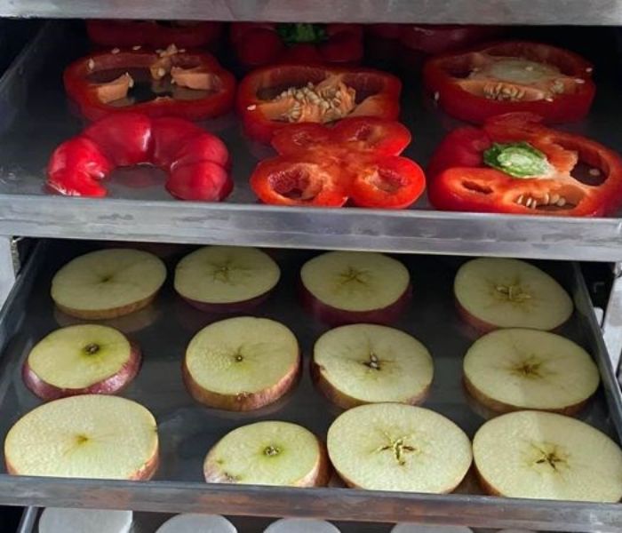 Sấy thăng hoa là gì? Khám phá nguyên lý hoạt động từ A-Z 3 - Vinakitchen say-thang-hoa